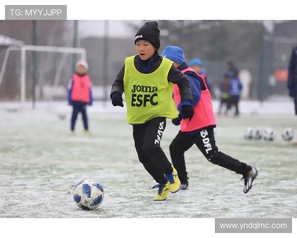 大雪难阻热情 J联赛首轮创历史新高