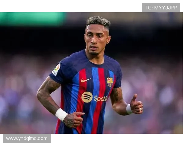 拉菲尼亚吐槽规则复杂多变之道